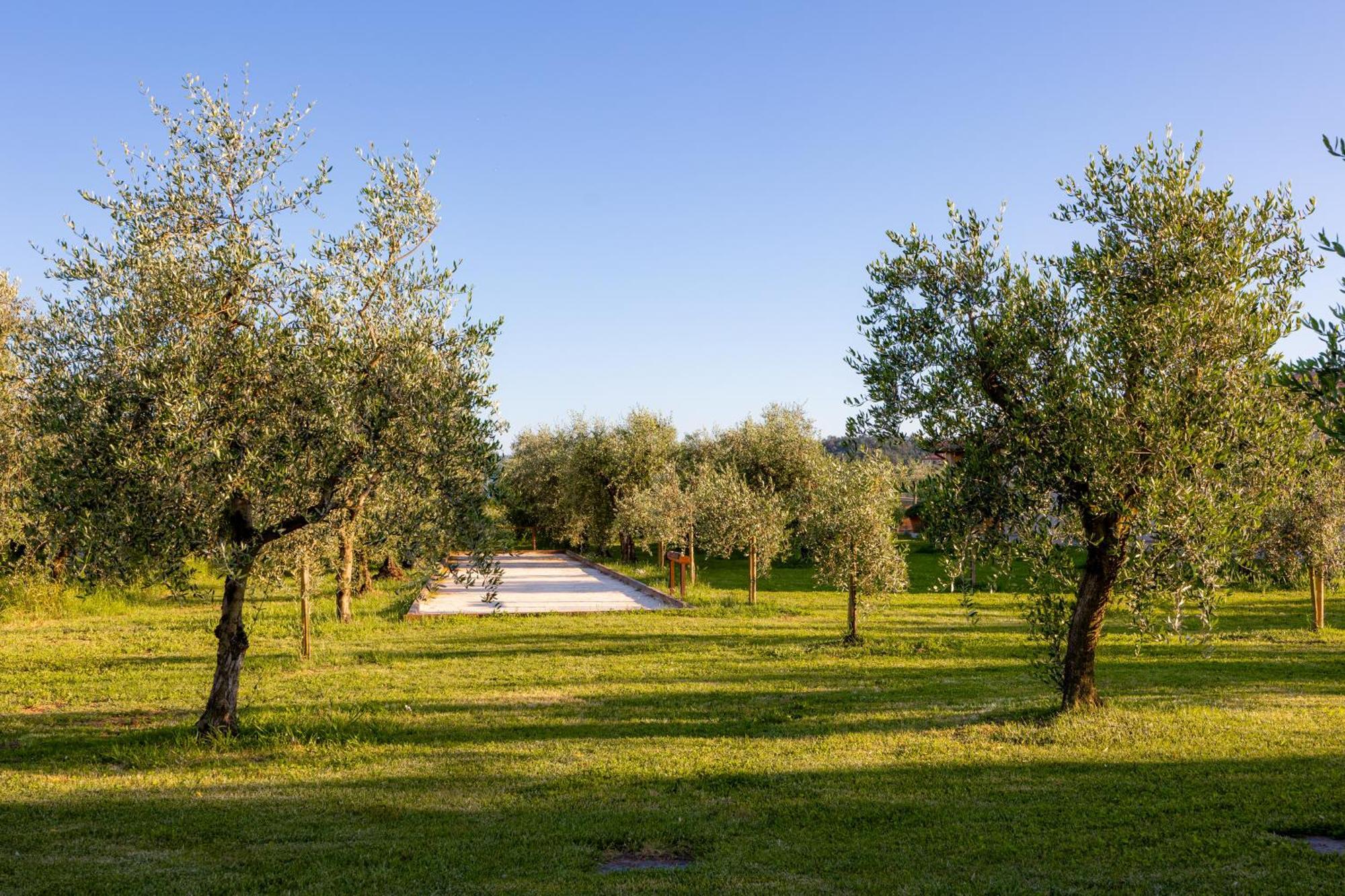 Holiday home Podere Di Piero *