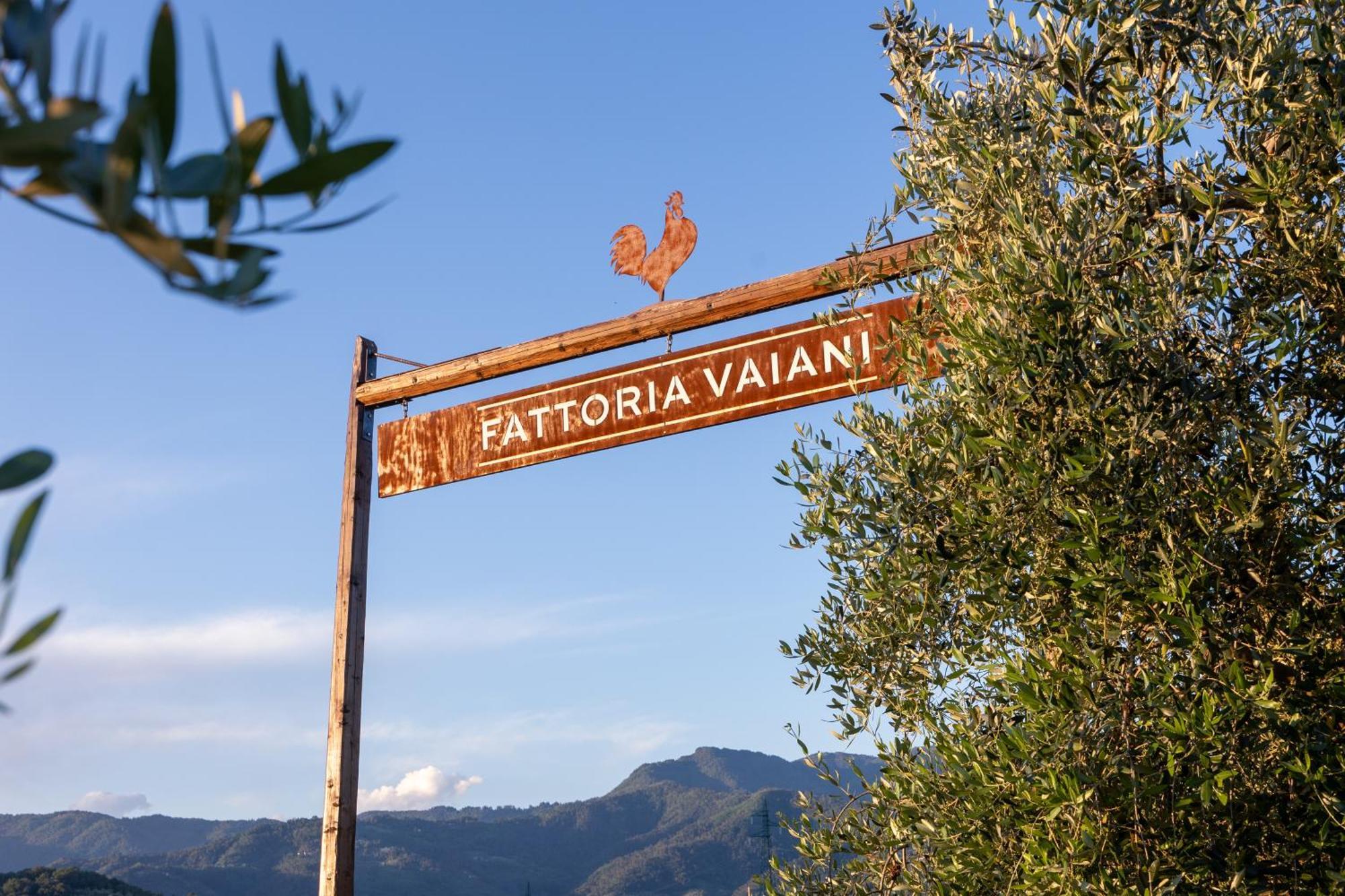 Holiday home Podere Di Piero